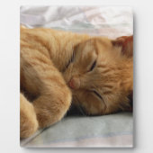 甘い夢 フォトプラーク (正面)