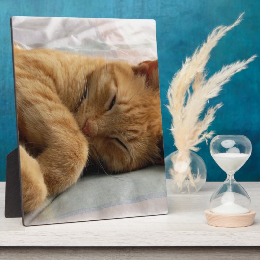 甘い夢 フォトプラーク (側面)