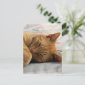 甘い夢 ポストカード (スタンド正面)