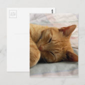 甘い夢 ポストカード (正面/裏面)