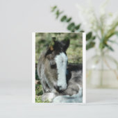 甘い夢 ポストカード (スタンド正面)