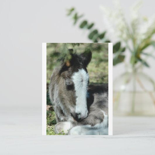 甘い夢 ポストカード (スタンド正面)