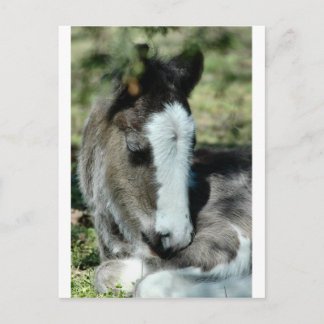 甘い夢 ポストカード