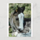 甘い夢 ポストカード (正面)