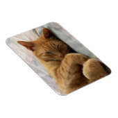 甘い夢 マグネット (右側)