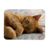 甘い夢 マグネット (横)