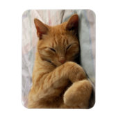 甘い夢 マグネット (縦)