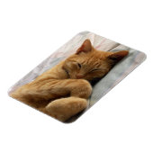 甘い夢 マグネット (左側)