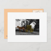 甘い女 ポストカード (正面/裏面)