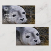 甘い子どものアシカの名刺 名刺 (正面/裏面)
