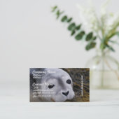 甘い子どものアシカの名刺 名刺 (スタンド正面)