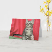 甘い子ネコのブランクの挨拶状 カード (黄色い花)