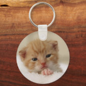 甘い子犬子猫 キーホルダー (正面)