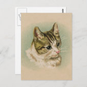 甘い子猫 ポストカード (正面/裏面)