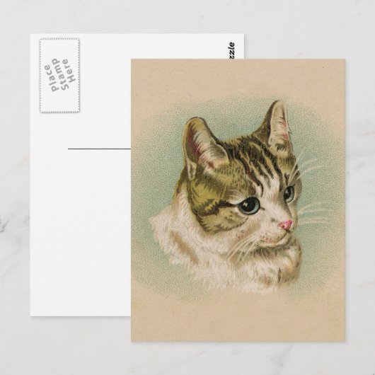 甘い子猫 ポストカード (正面/裏面)