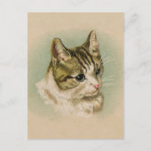 甘い子猫 ポストカード (正面)