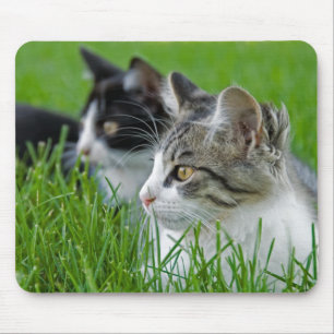 甘い子猫 マウスパッド