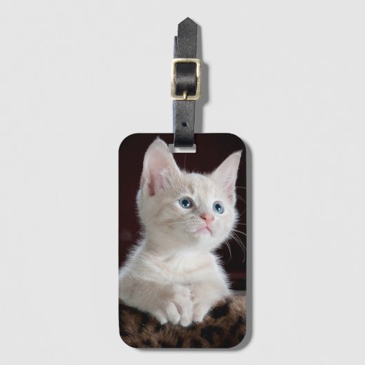 甘い子猫 ラゲッジタグ (正面縦)