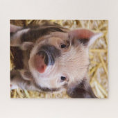 甘い子豚 ジグソーパズル (横)