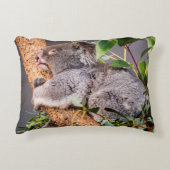 甘い小さなコアラ アクセントクッション (正面)