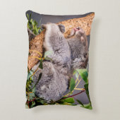 甘い小さなコアラ アクセントクッション (裏面(縦))