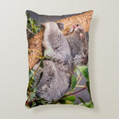甘い小さなコアラ アクセントクッション (正面(垂直))