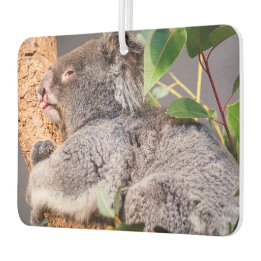 甘い小さなコアラ カーエアーフレッシュナー (左)