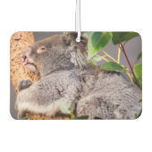 甘い小さなコアラ カーエアーフレッシュナー (正面)