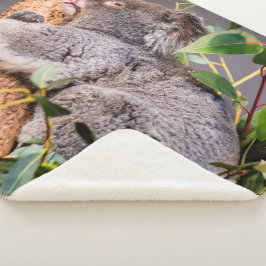 甘い小さなコアラ シェルパブランケット