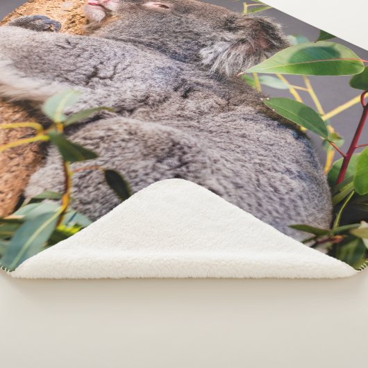 甘い小さなコアラ シェルパブランケット (3/4)