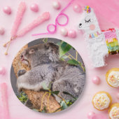 甘い小さなコアラ ペーパープレート (パーティー)