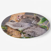 甘い小さなコアラ ペーパープレート (アングル)