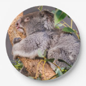 甘い小さなコアラ ペーパープレート (正面)