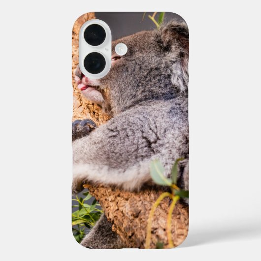 甘い小さなコアラ Case-Mate iPhoneケース (裏面)