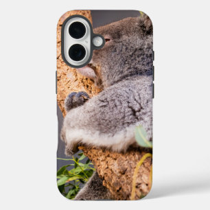甘い小さなコアラ iPhone 16ケース