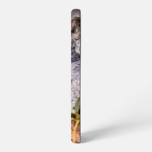 甘い小さなコアラ SAMSUNG GALAXYケース (左側面)