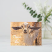 甘い小さなヤギ感謝はがき ポストカード (スタンド正面)