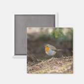 甘い小さなロビン マグネット (正面/裏面)