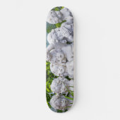 甘い小さな天使… スケートボード (正面)