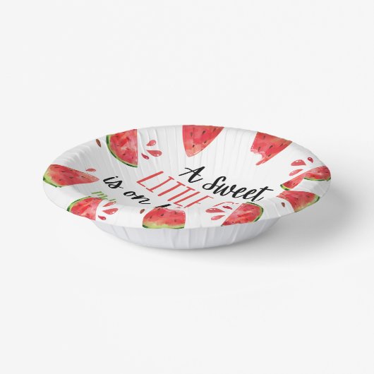甘い小さな女の子スイカの赤ちゃんシャワー ペーパーボウル (傾斜あり)