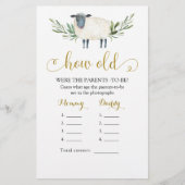 甘い小さな子羊の緑どのように老いた両親 (正面)