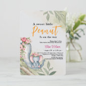 甘い小さな落花生が道を進んでいる 招待状 (スタンド正面)