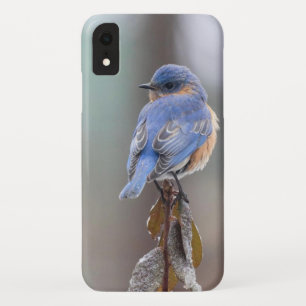甘い小さな青い鳥 iPhone XRケース