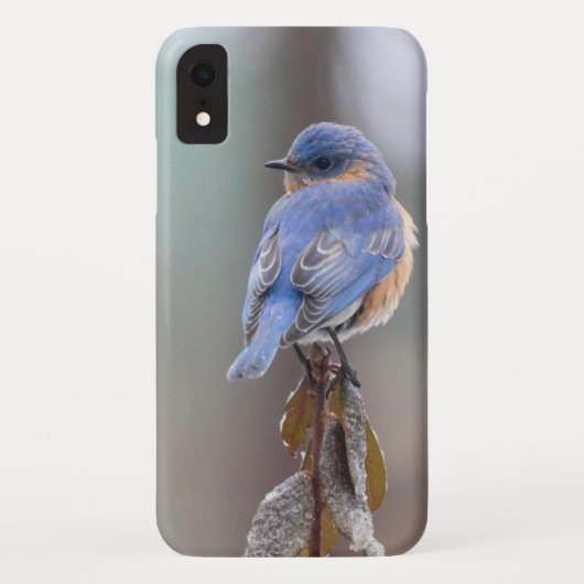 甘い小さな青い鳥 Case-Mate iPhoneケース (裏面)