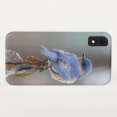 甘い小さな青い鳥 Case-Mate iPhoneケース (裏面(横))