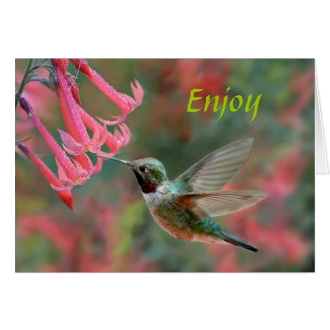 甘い快楽 (正面横)