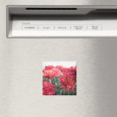 甘い明るい菊のマグネット マグネット (インサイチュ (食洗機))