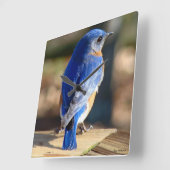 甘い東のブルーバード スクエア壁時計 (傾斜)