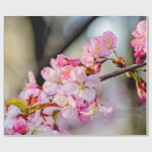 甘い桜の花が春に ラッピングペーパー (フラット)