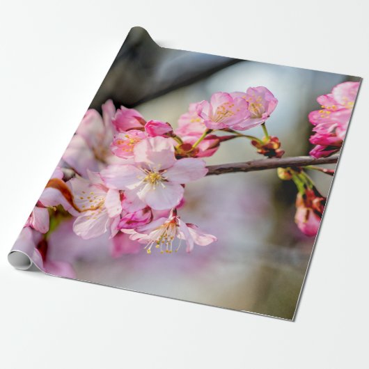 甘い桜の花が春に ラッピングペーパー (アンロールド)